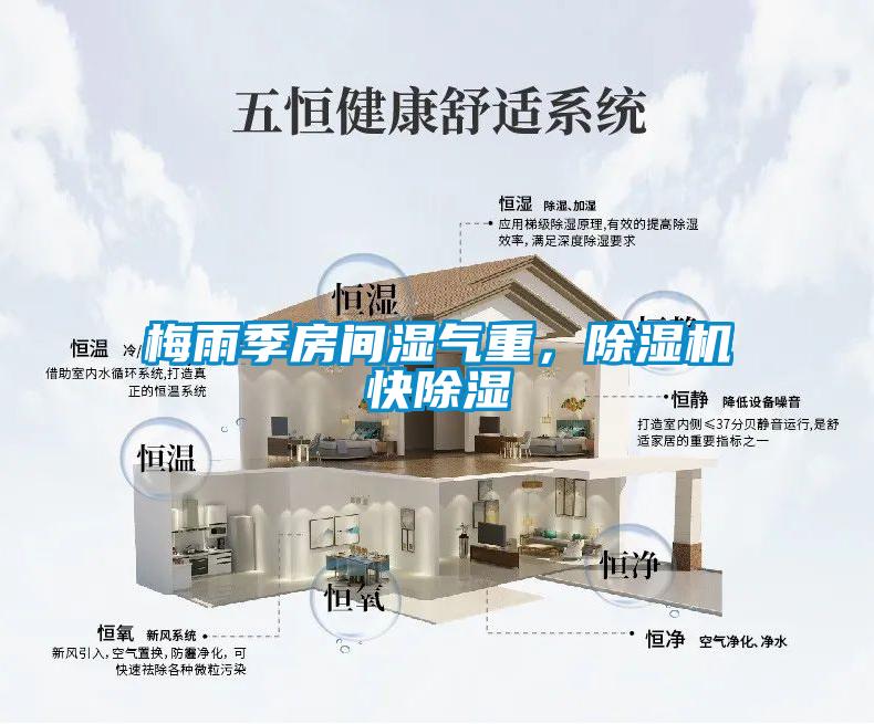 梅雨季房間濕氣重，除濕機快除濕