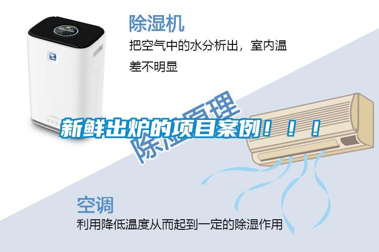 新鮮出爐的項目案例?。?！