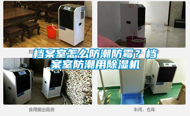 檔案室怎么防潮防霉？檔案室防潮用除濕機