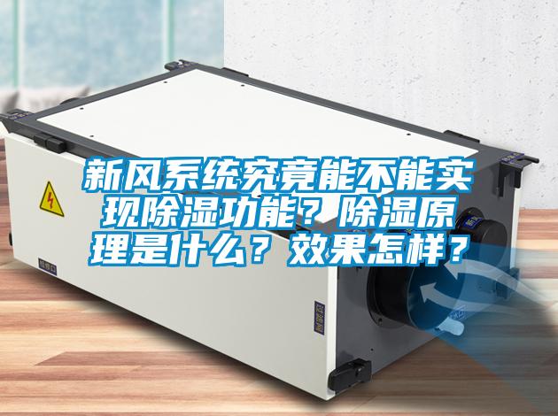 新風系統(tǒng)究竟能不能實現(xiàn)除濕功能？除濕原理是什么？效果怎樣？