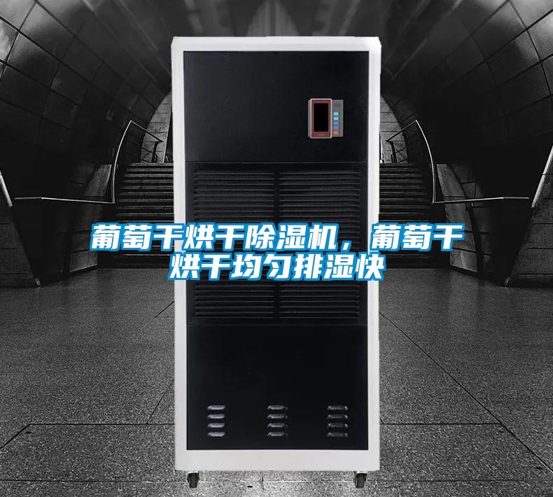 葡萄干烘干除濕機，葡萄干烘干均勻排濕快