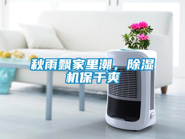 秋雨飄家里潮，除濕機保干爽