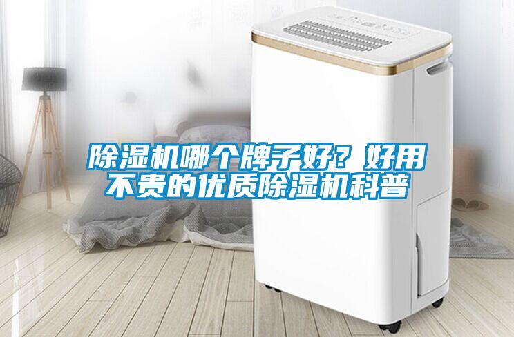 除濕機(jī)哪個(gè)牌子好？好用不貴的優(yōu)質(zhì)除濕機(jī)科普