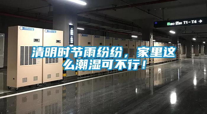 清明時節雨紛紛，家里這么潮濕可不行！
