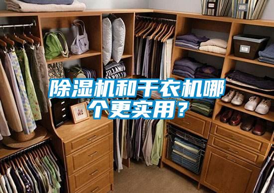 除濕機和干衣機哪個更實用？