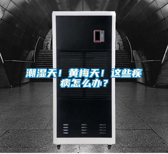 潮濕天！黃梅天！這些疾病怎么辦？
