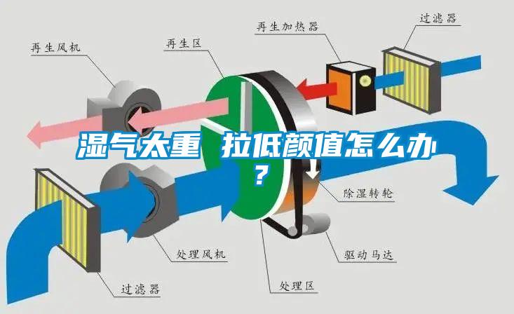 濕氣太重 拉低顏值怎么辦？