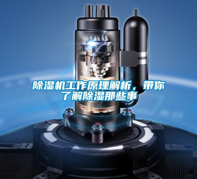 除濕機工作原理解析，帶你了解除濕那些事