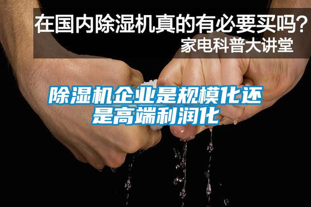 除濕機(jī)企業(yè)是規(guī)模化還是高端利潤化