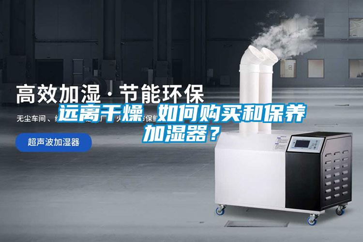 遠(yuǎn)離干燥 如何購(gòu)買和保養(yǎng)加濕器？