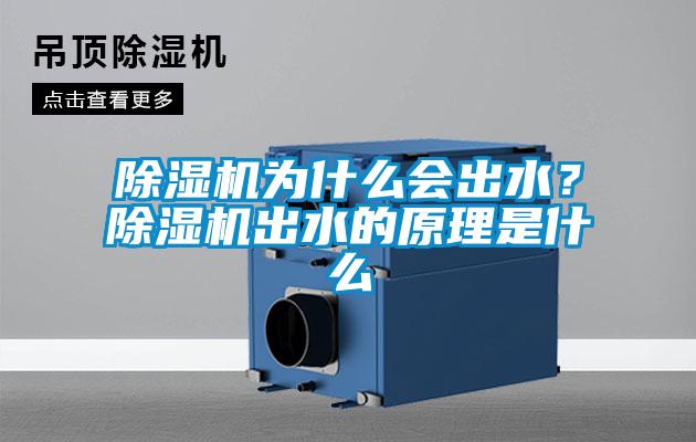 除濕機為什么會出水？除濕機出水的原理是什么