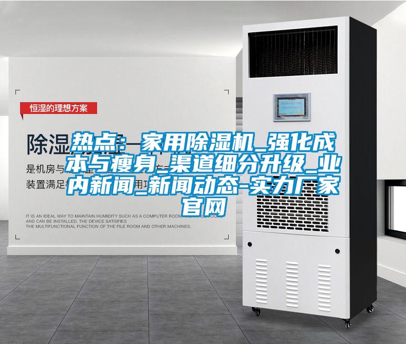 熱點：家用除濕機_強化成本與瘦身_渠道細分升級_業(yè)內新聞_新聞動態(tài)-實力廠家官網(wǎng)
