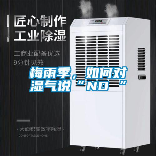 梅雨季，如何對濕氣說“NO ”