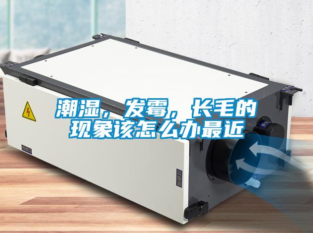 潮濕，發(fā)霉，長毛的現(xiàn)象該怎么辦最近