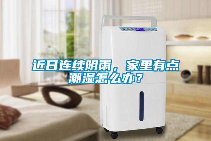 近日連續陰雨，家里有點潮濕怎么辦？