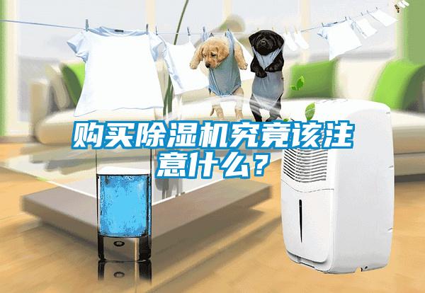 購買除濕機究竟該注意什么？