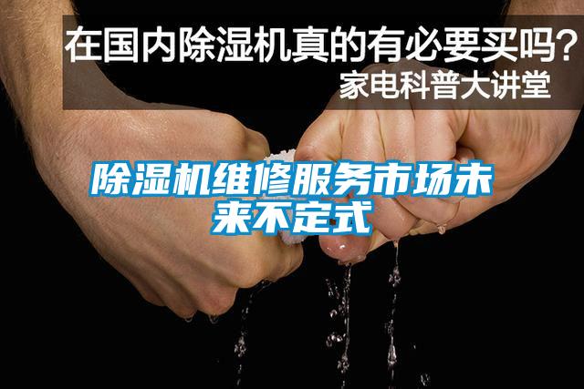 除濕機維修服務(wù)市場未來不定式