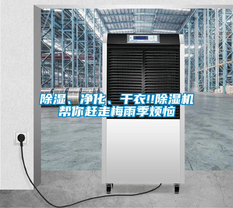 除濕、凈化、干衣!!除濕機幫你趕走梅雨季煩惱