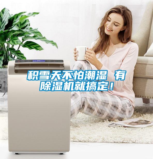 積雪天不怕潮濕 有除濕機就搞定！