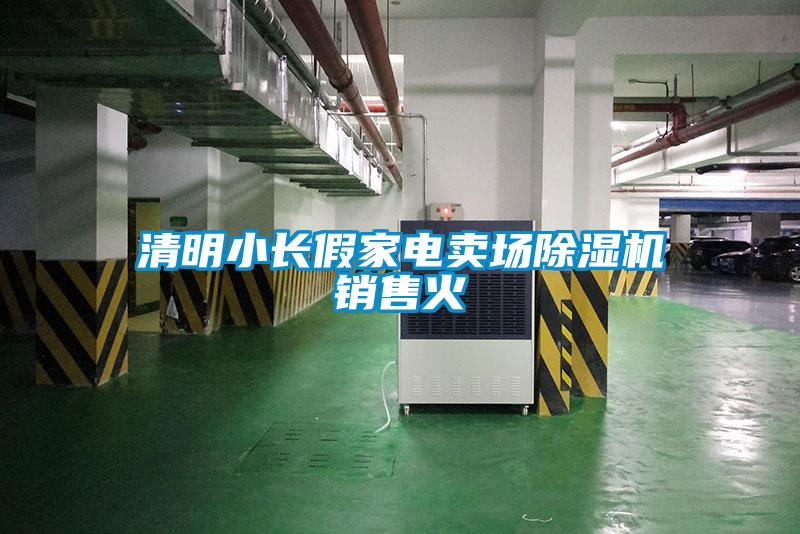 清明小長(zhǎng)假家電賣(mài)場(chǎng)除濕機(jī)銷售火