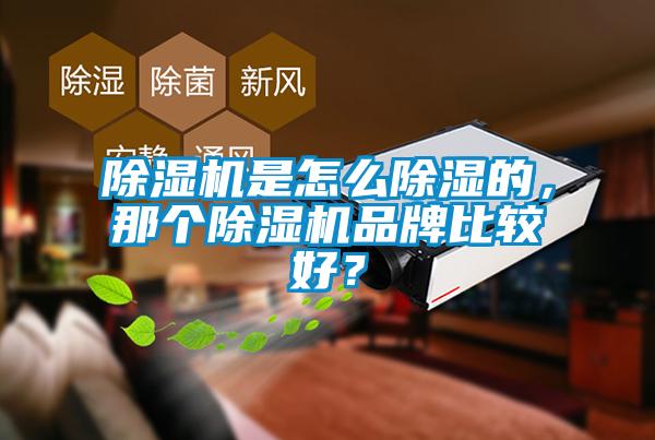 除濕機(jī)是怎么除濕的，那個(gè)除濕機(jī)品牌比較好？