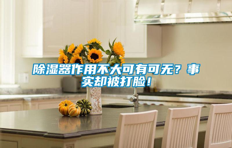 除濕器作用不大可有可無？事實卻被打臉！