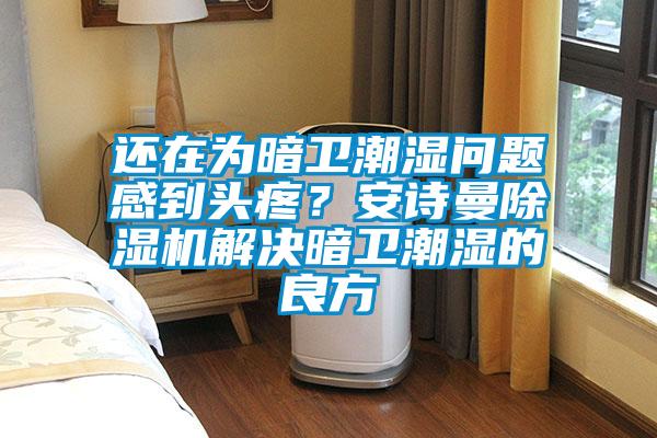 還在為暗衛(wèi)潮濕問題感到頭疼？安詩曼除濕機解決暗衛(wèi)潮濕的良方