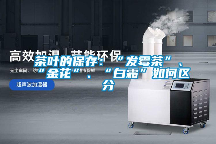 茶葉的保存：“發(fā)霉茶”、“金花”、“白霜”如何區(qū)分