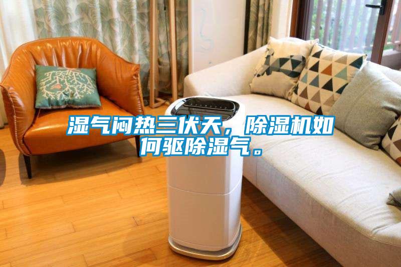 濕氣悶熱三伏天，除濕機如何驅除濕氣。