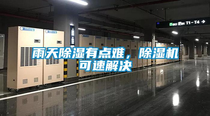 雨天除濕有點難，除濕機可速解決
