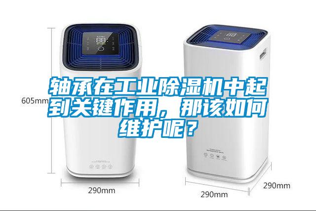 軸承在工業(yè)除濕機中起到關鍵作用，那該如何維護呢？