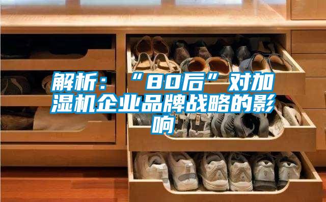 解析：“80后”對加濕機(jī)企業(yè)品牌戰(zhàn)略的影響