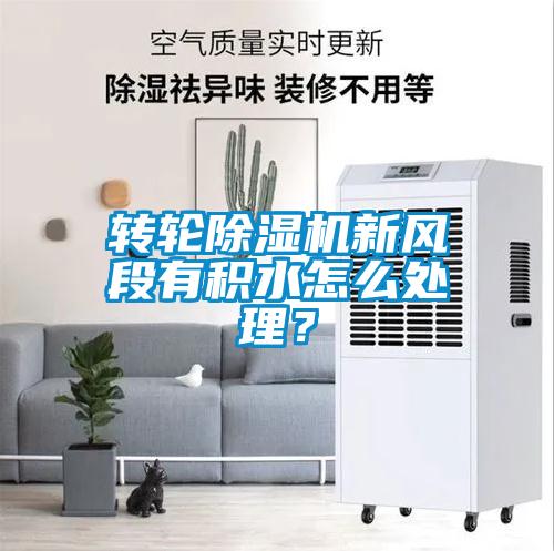 轉(zhuǎn)輪除濕機新風段有積水怎么處理?