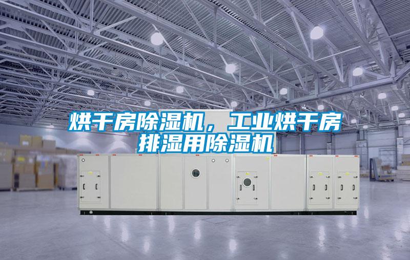 烘干房除濕機，工業(yè)烘干房排濕用除濕機