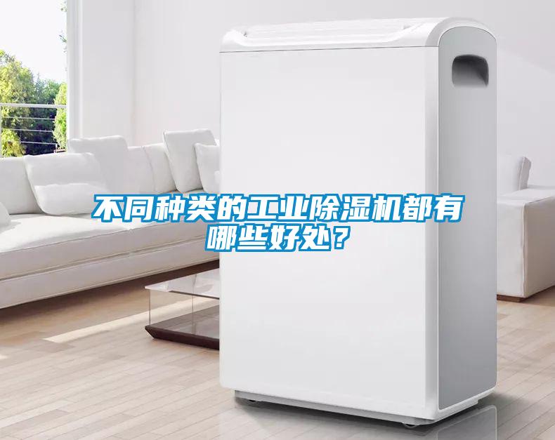 不同種類的工業除濕機都有哪些好處？