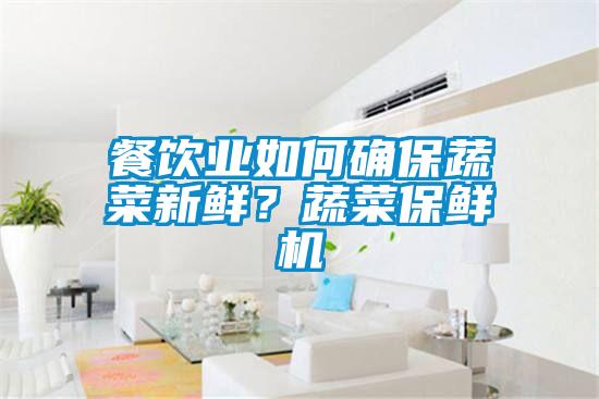 餐飲業如何確保蔬菜新鮮？蔬菜保鮮機