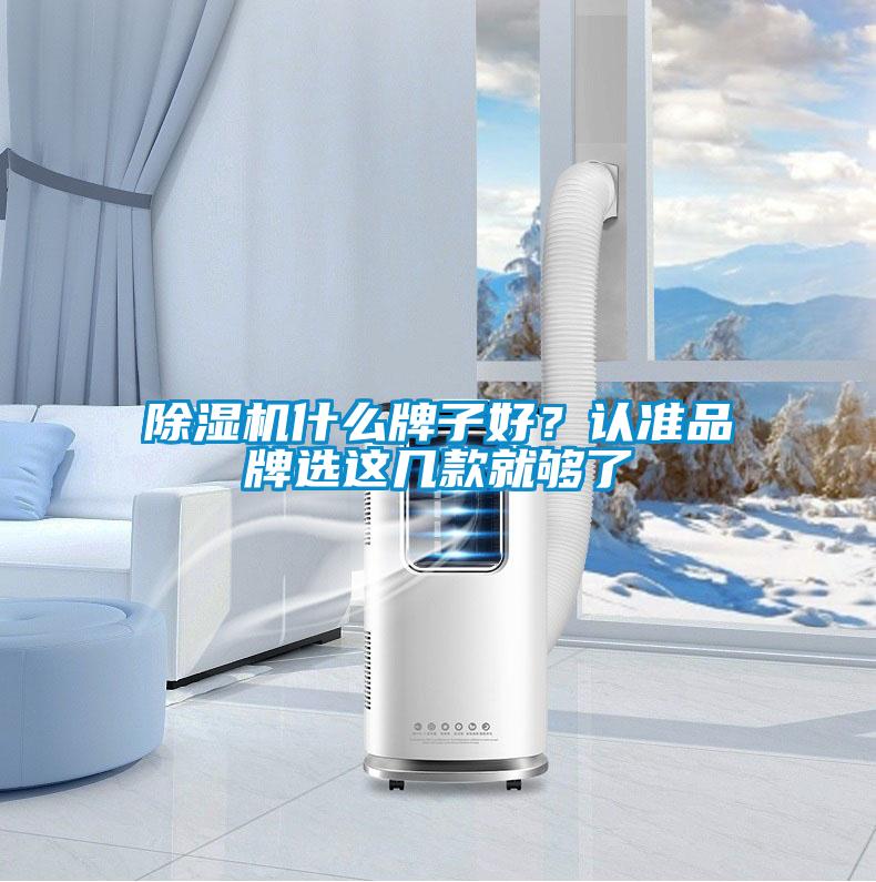 除濕機什么牌子好？認準品牌選這幾款就夠了