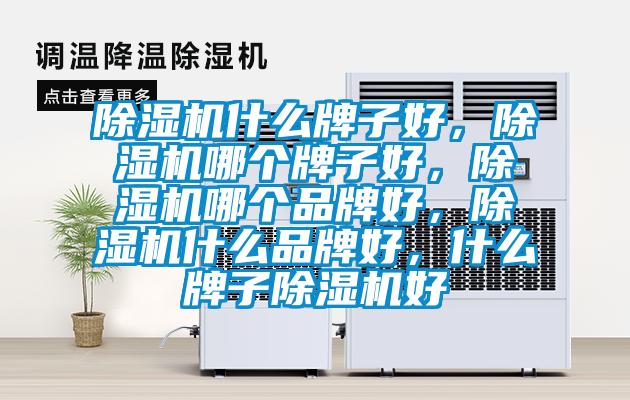 除濕機(jī)什么牌子好，除濕機(jī)哪個(gè)牌子好，除濕機(jī)哪個(gè)品牌好，除濕機(jī)什么品牌好，什么牌子除濕機(jī)好