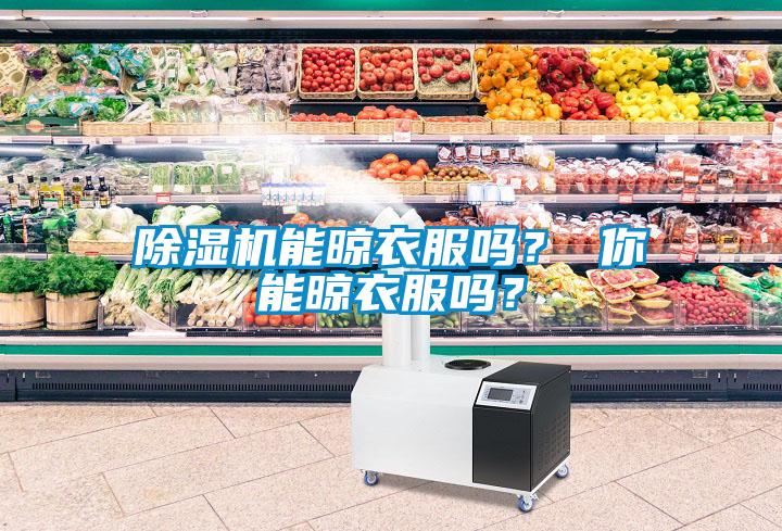 除濕機(jī)能晾衣服嗎？ 你能晾衣服嗎？