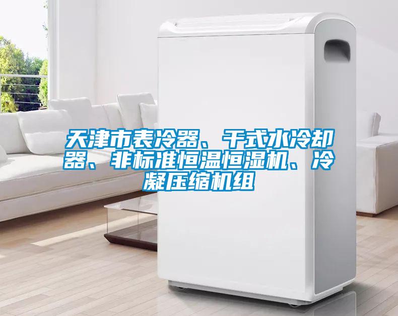 天津市表冷器、干式水冷卻器、非標(biāo)準(zhǔn)恒溫恒濕機、冷凝壓縮機組