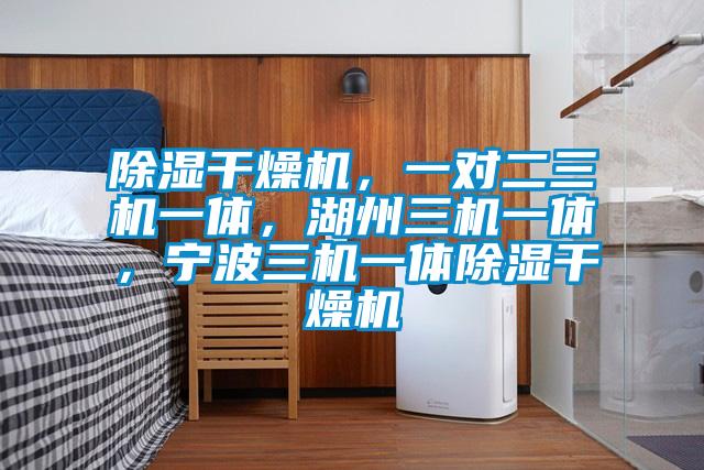 除濕干燥機，一對二三機一體，湖州三機一體，寧波三機一體除濕干燥機