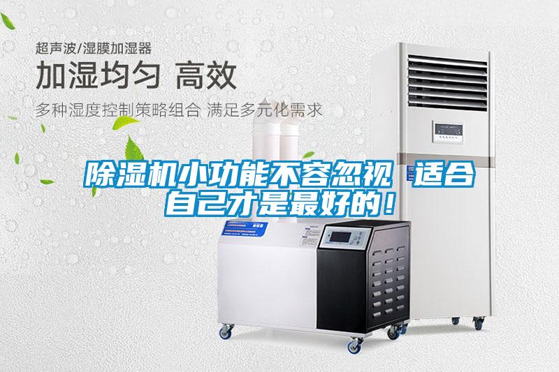 除濕機小功能不容忽視 適合自己才是最好的！
