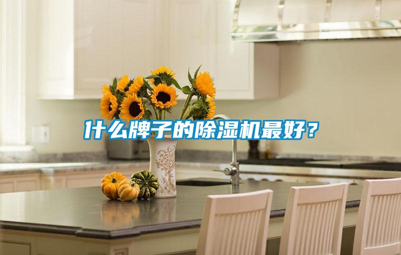 什么牌子的除濕機最好？