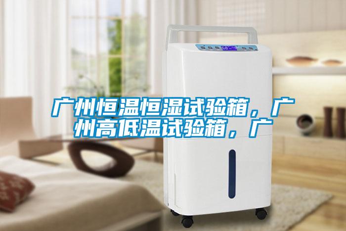 廣州恒溫恒濕試驗(yàn)箱，廣州高低溫試驗(yàn)箱，廣