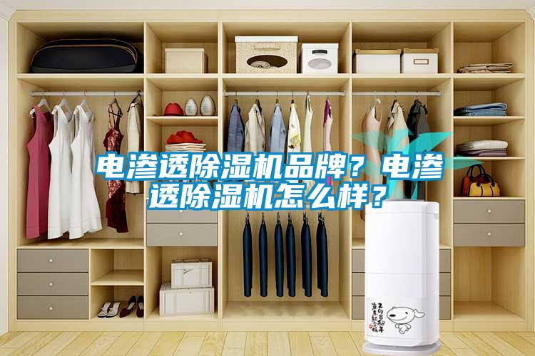 電滲透除濕機(jī)品牌？電滲透除濕機(jī)怎么樣？