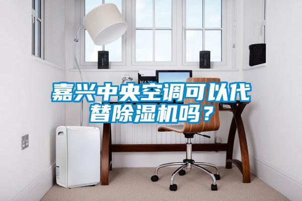嘉興中央空調可以代替除濕機嗎？