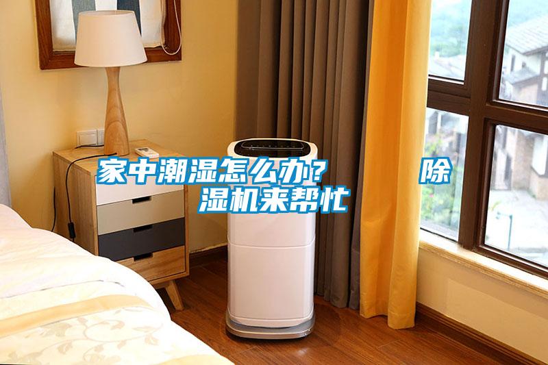 家中潮濕怎么辦？    除濕機(jī)來幫忙