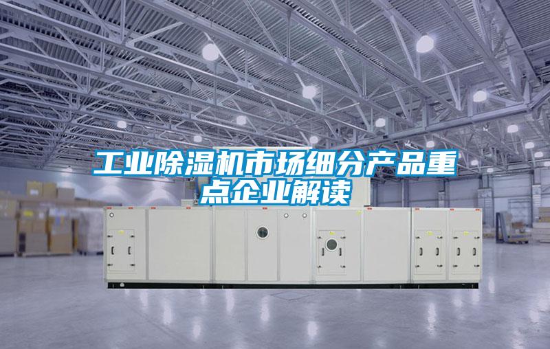 工業(yè)除濕機市場細分產(chǎn)品重點企業(yè)解讀