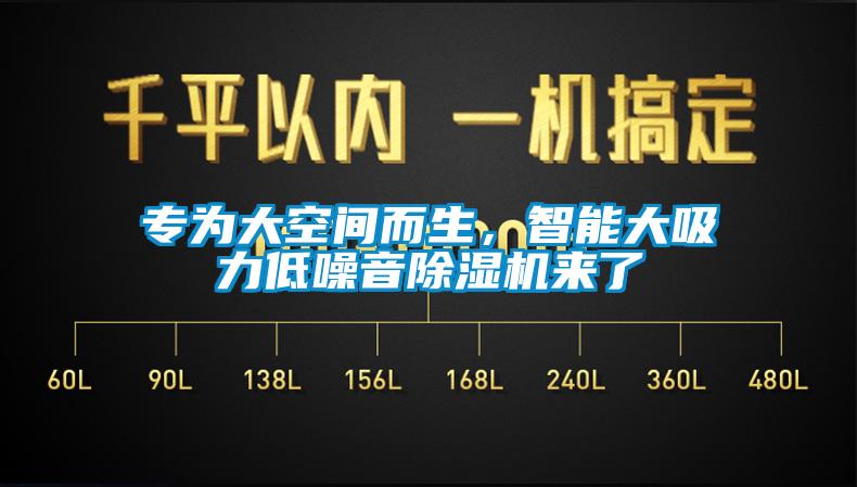 專為大空間而生，智能大吸力低噪音除濕機來了