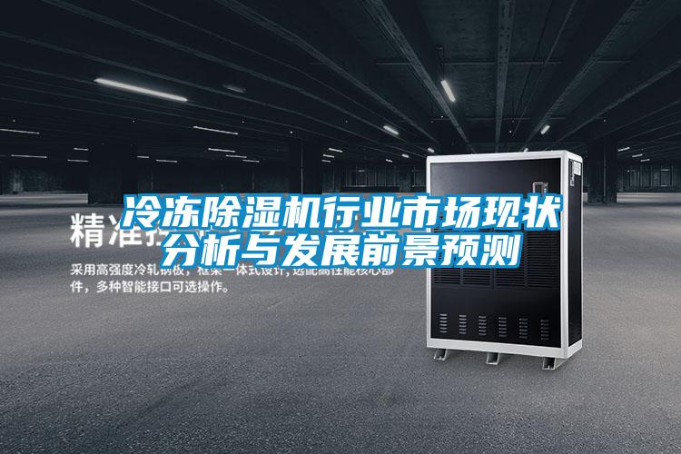 冷凍除濕機行業(yè)市場現狀分析與發(fā)展前景預測